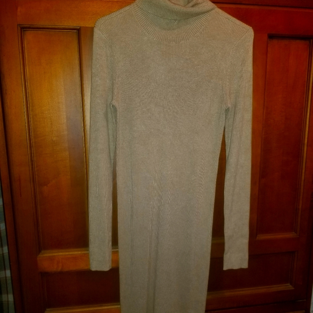 Express turtleneck sweater dress